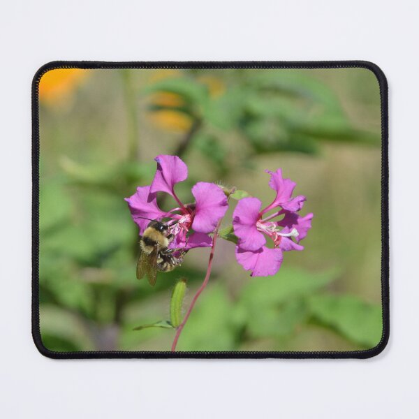 Item preview, Bumblebee Pollinating Magenta Fireweed Flowers designed and sold by MiraNadaPrints.