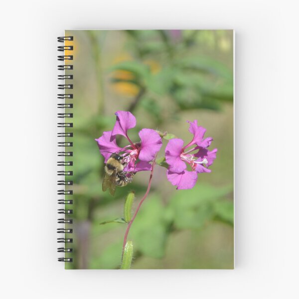 Item preview, Bumblebee Pollinating Magenta Fireweed Flowers designed and sold by MiraNadaPrints.