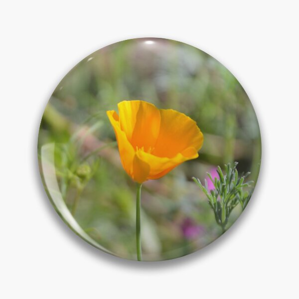 Item preview, Bumblebee In Flight Above California Poppy designed and sold by MiraNadaPrints.