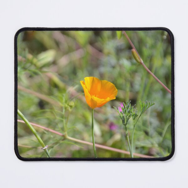 Item preview, Bumblebee In Flight Above California Poppy designed and sold by MiraNadaPrints.