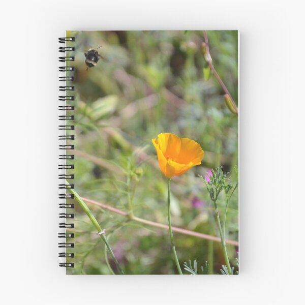 Item preview, Bumblebee In Flight Above California Poppy designed and sold by MiraNadaPrints.