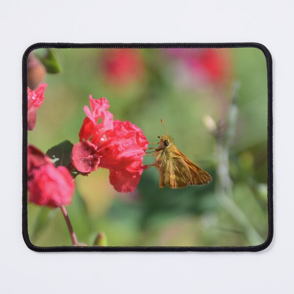 Item preview, Skipper Butterfly Feeding on Magenta Clarkia designed and sold by MiraNadaPrints.