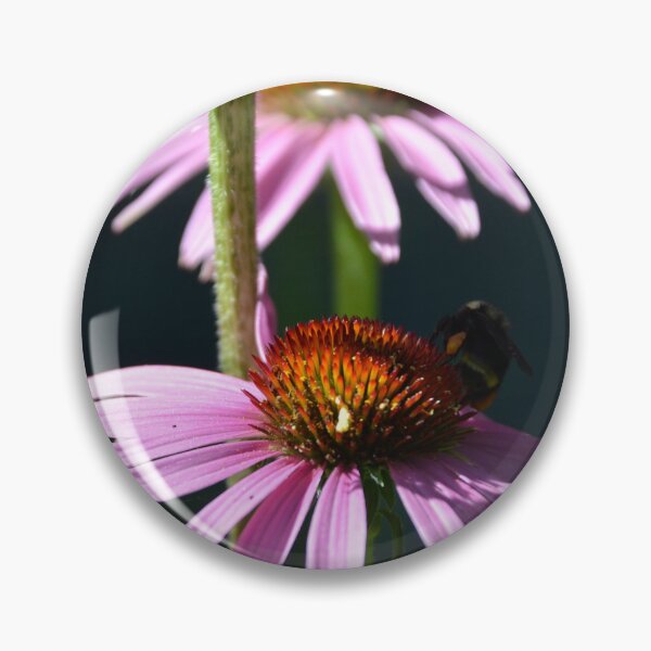 Item preview, Bumblebee Foraging on Purple Coneflower Stem designed and sold by MiraNadaPrints.