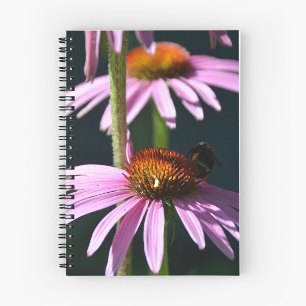 Item preview, Bumblebee Foraging on Purple Coneflower Stem designed and sold by MiraNadaPrints.