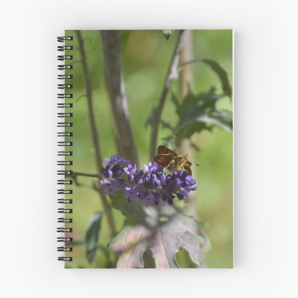 Item preview, Skipper Butterfly Resting on Purple Lavender designed and sold by MiraNadaPrints.