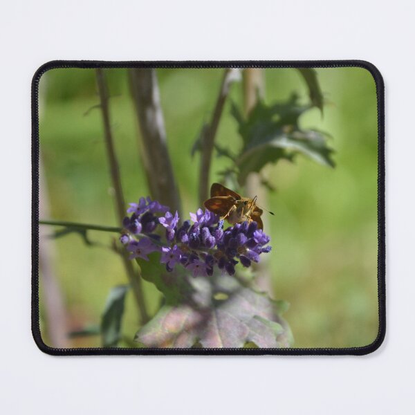 Item preview, Skipper Butterfly Resting on Purple Lavender designed and sold by MiraNadaPrints.
