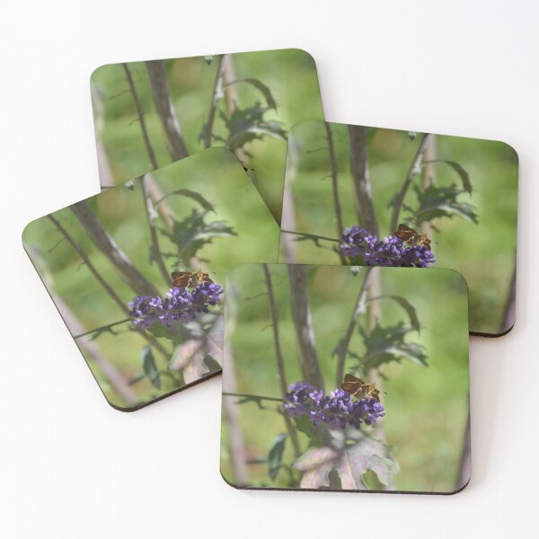 Item preview, Skipper Butterfly Resting on Purple Lavender designed and sold by MiraNadaPrints.