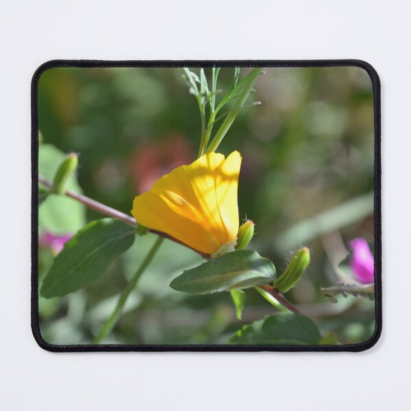Item preview, Sunlit Yellow California Poppy Side Profile designed and sold by MiraNadaPrints.