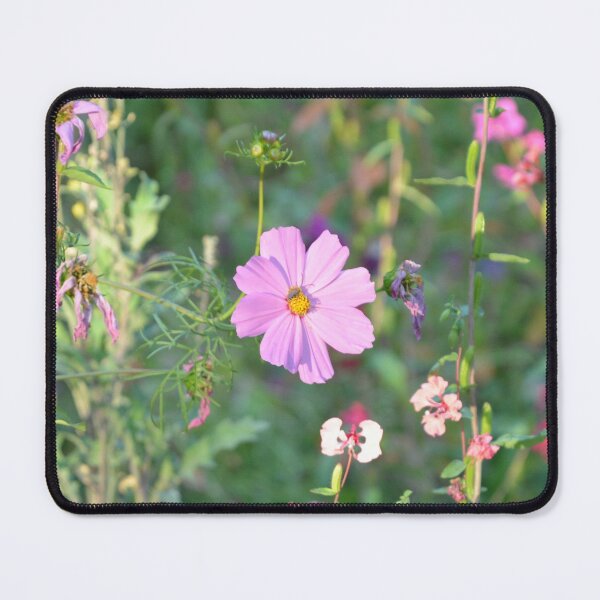 Item preview, Pink Cosmos Flower in Wild Meadow Garden designed and sold by MiraNadaPrints.