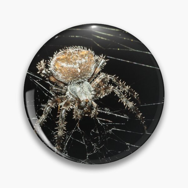 Item preview, Orbweaver  designed and sold by birdstar1.