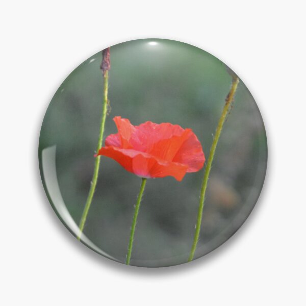 Item preview, Pink Cosmos Flower in Wild Meadow Garden designed and sold by MiraNadaPrints.