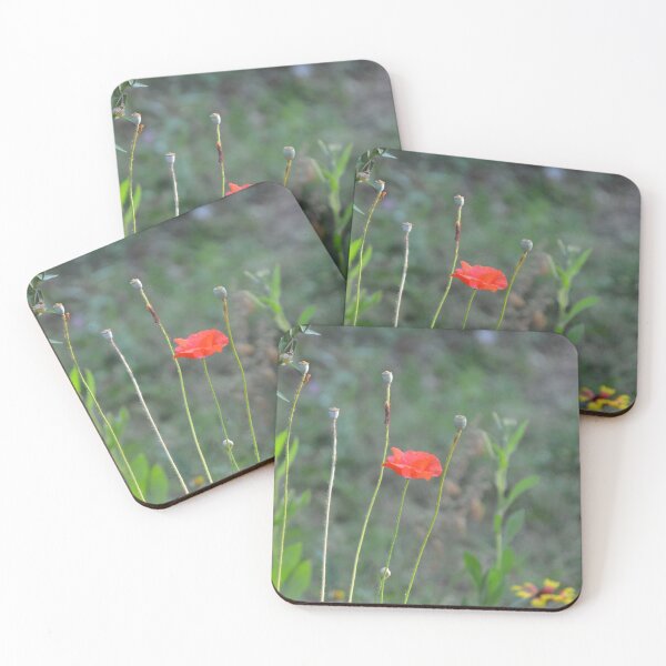 Item preview, Pink Cosmos Flower in Wild Meadow Garden designed and sold by MiraNadaPrints.