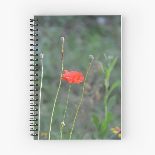 Item preview, Pink Cosmos Flower in Wild Meadow Garden designed and sold by MiraNadaPrints.