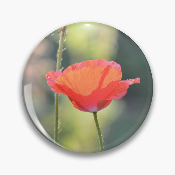Item preview, Sunlit Red Poppy Flower Side Profile designed and sold by MiraNadaPrints.