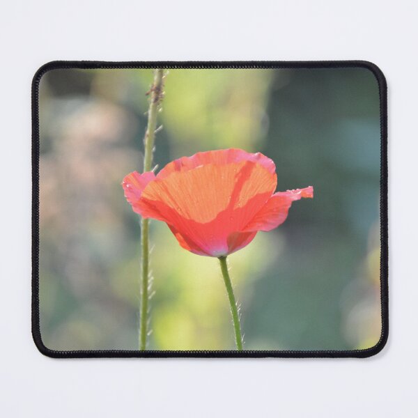 Item preview, Sunlit Red Poppy Flower Side Profile designed and sold by MiraNadaPrints.
