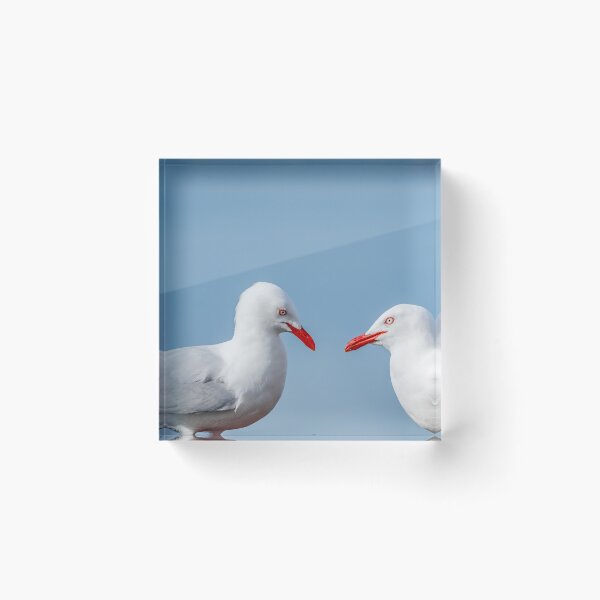 Item preview, Two gulls beak to beak. designed and sold by Brian Scantlebury.