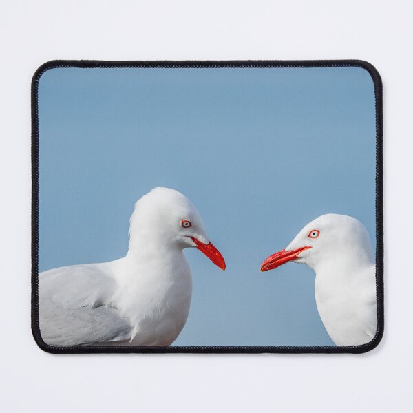 Item preview, Two gulls beak to beak. designed and sold by Brian Scantlebury.