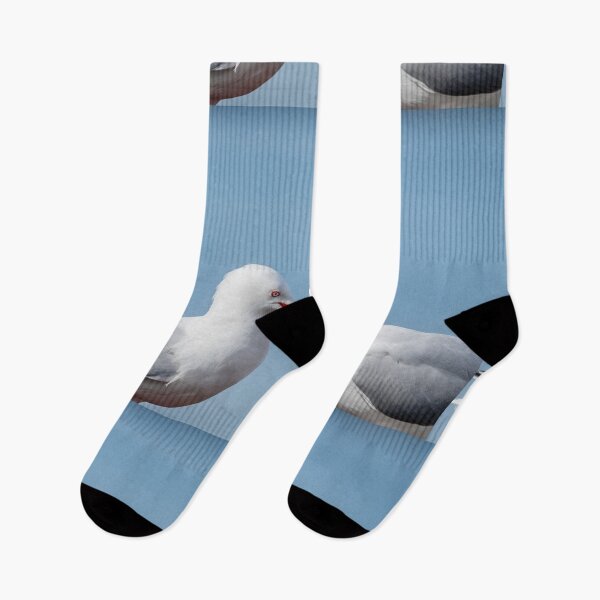 Item preview, Two gulls beak to beak. designed and sold by Brian Scantlebury.