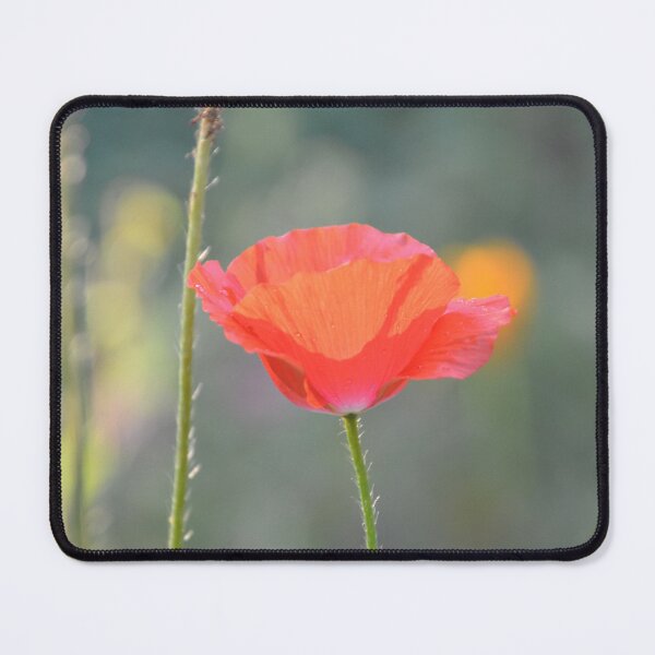 Item preview, Glowing Red Poppy Blossom on Thin Stem designed and sold by MiraNadaPrints.