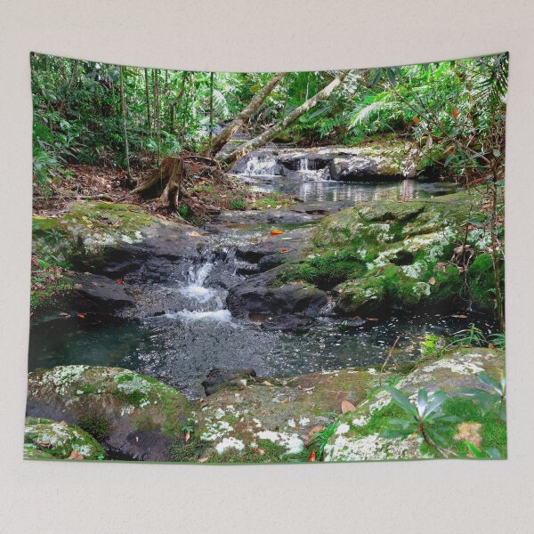 Item preview, Rainforest stream with mossy rocks and cascades designed and sold by jaynerushton.