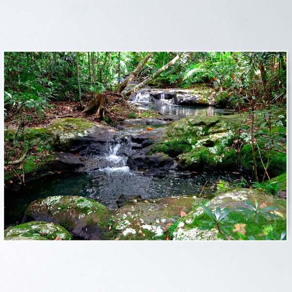 Item preview, Rainforest stream with mossy rocks and cascades designed and sold by jaynerushton.