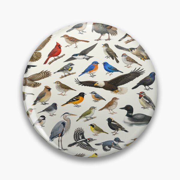 Item preview, Native Birds of Vermont Retro Identification Chart designed and sold by kakarikihill.