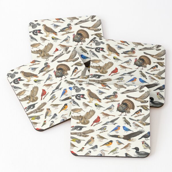 Item preview, Native Birds of Vermont Retro Identification Chart designed and sold by kakarikihill.