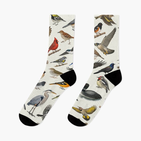 Item preview, Native Birds of Vermont Retro Identification Chart designed and sold by kakarikihill.
