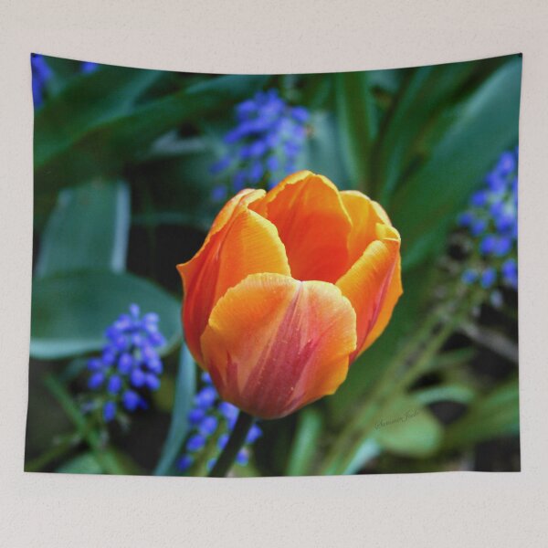 Aperçu de l'œuvre Tulipe orange ~ Tu illumines ma vie créée et vendue par SummerJade.