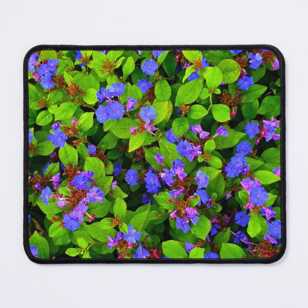 Item preview, Plumbago Patch designed and sold by bjtomiko.