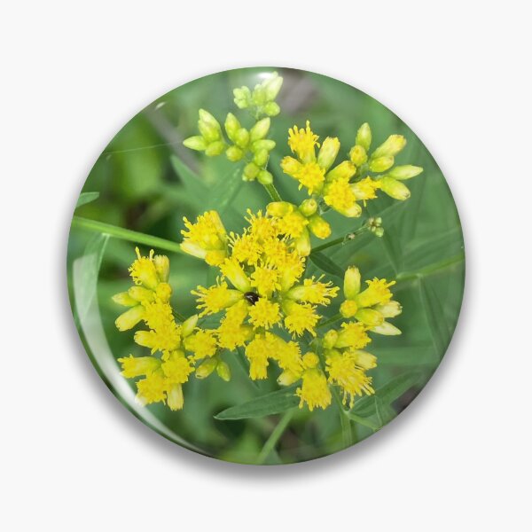 Item preview, Wildflowers  designed and sold by Amanda1775.