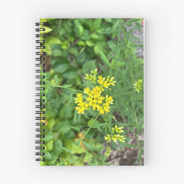 Item preview, Wildflowers  designed and sold by Amanda1775.