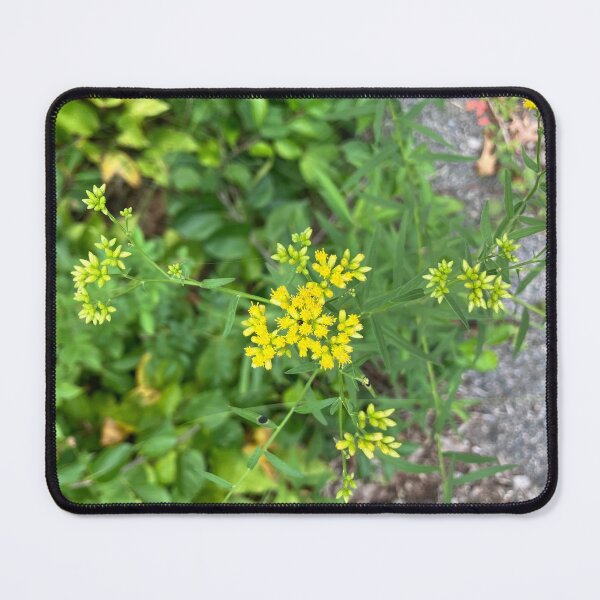 Item preview, Wildflowers designed and sold by Amanda1775.