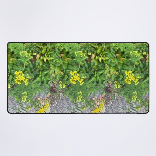 Item preview, Wildflowers  designed and sold by Amanda1775.