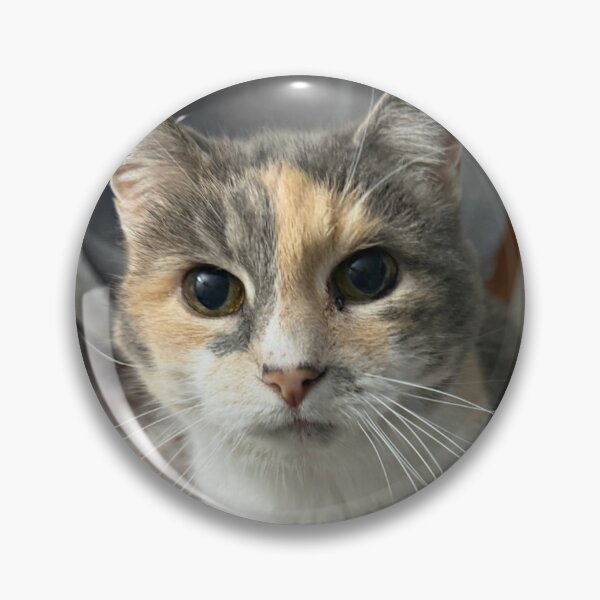 Item preview, Boba Catt designed and sold by Roxatanos.