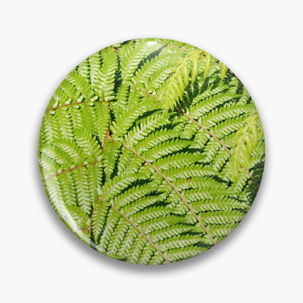 Item preview, Vibrant green frond of a tree fern designed and sold by Brian Scantlebury.