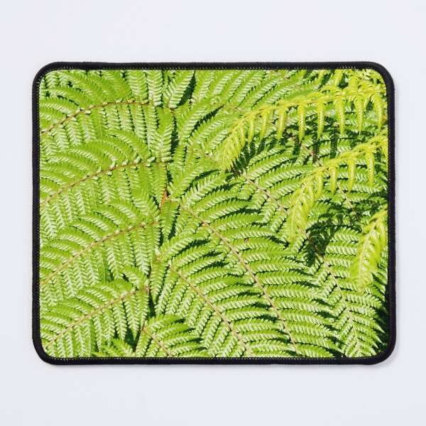 Item preview, Vibrant green frond of a tree fern designed and sold by Brian Scantlebury.