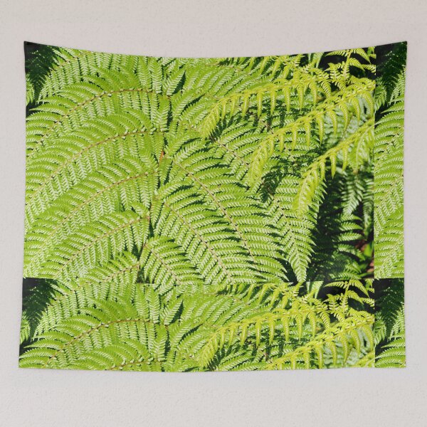 Item preview, Vibrant green frond of a tree fern designed and sold by Brian Scantlebury.