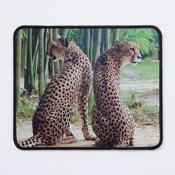 Item preview, Cheetah Pair designed and sold by Flaunting Florida.