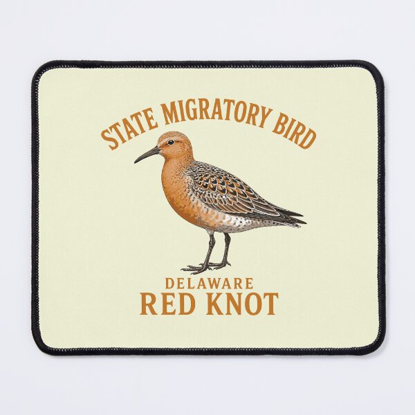 Item preview, Delaware Red Knot Wings of Migration designed and sold by taiche.