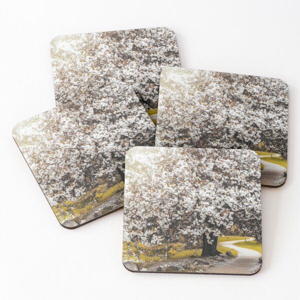 Item preview, Cherry Blossom Tree and Path designed and sold by REVOLVE ART 67.