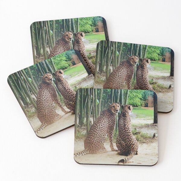Item preview, Cheetah Eye-Contact designed and sold by Flaunting Florida.