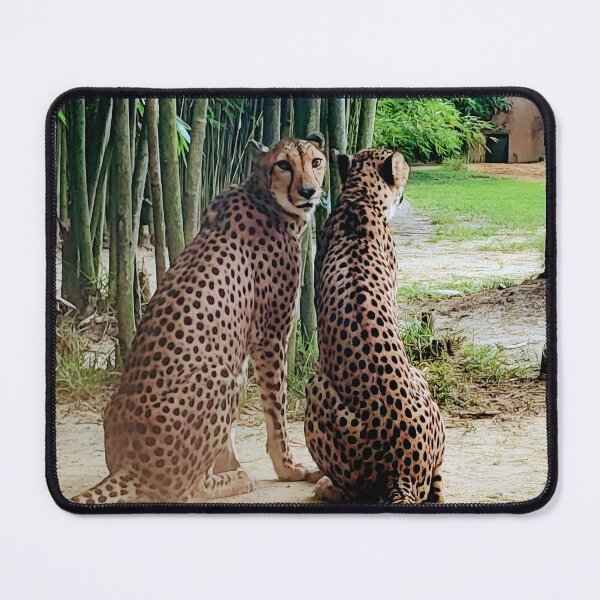 Item preview, Cheetah Eye-Contact designed and sold by Flaunting Florida.