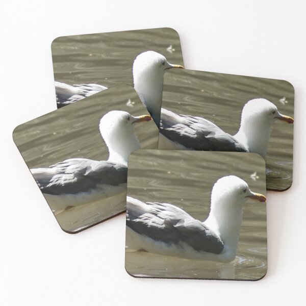 Item preview, California Seagull Swimming in Pond designed and sold by WilesNailsPower.