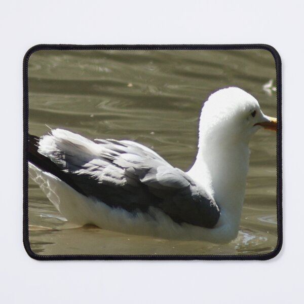 Item preview, California Seagull Swimming in Pond designed and sold by WilesNailsPower.