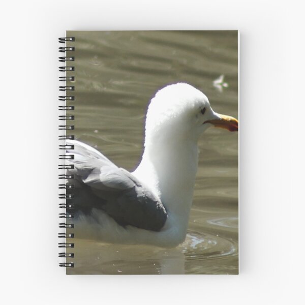 Item preview, California Seagull Swimming in Pond designed and sold by WilesNailsPower.
