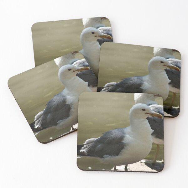 Item preview, California Seagulls Standing on Rock designed and sold by WilesNailsPower.