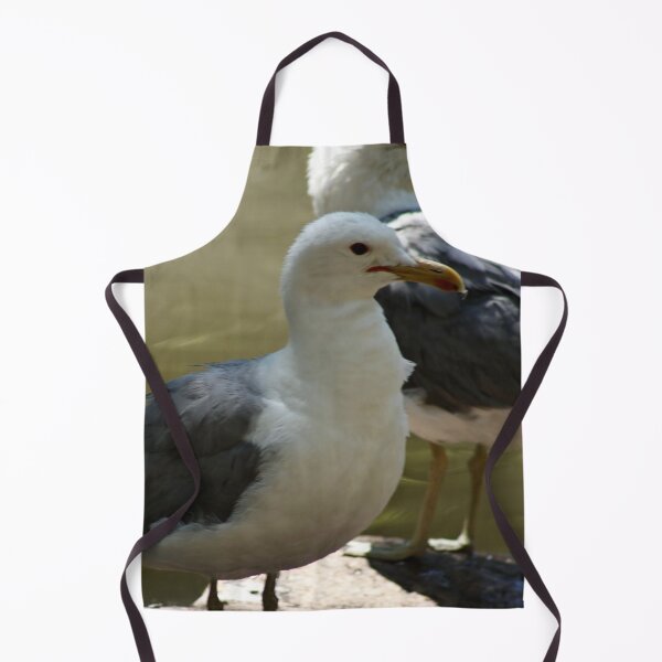 Item preview, California Seagulls Standing on Rock designed and sold by WilesNailsPower.