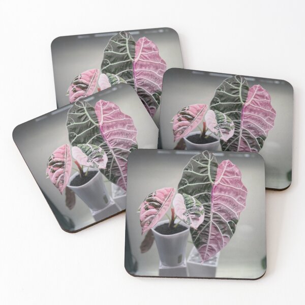 Item preview, Elegant Pink Rita's Ritas Rita s aBliss designed and sold by dishcutnes.