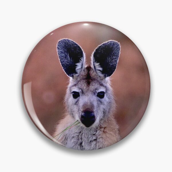 Item preview, 'Startled Wallabies' designed and sold by Likoca Photography.